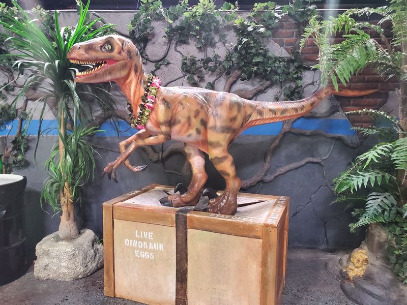 Raptor Encounter