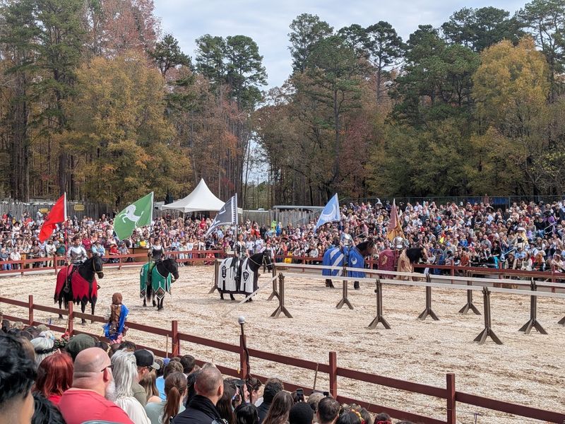 Attend the Carolina Renaissance Festival (Huntersville)