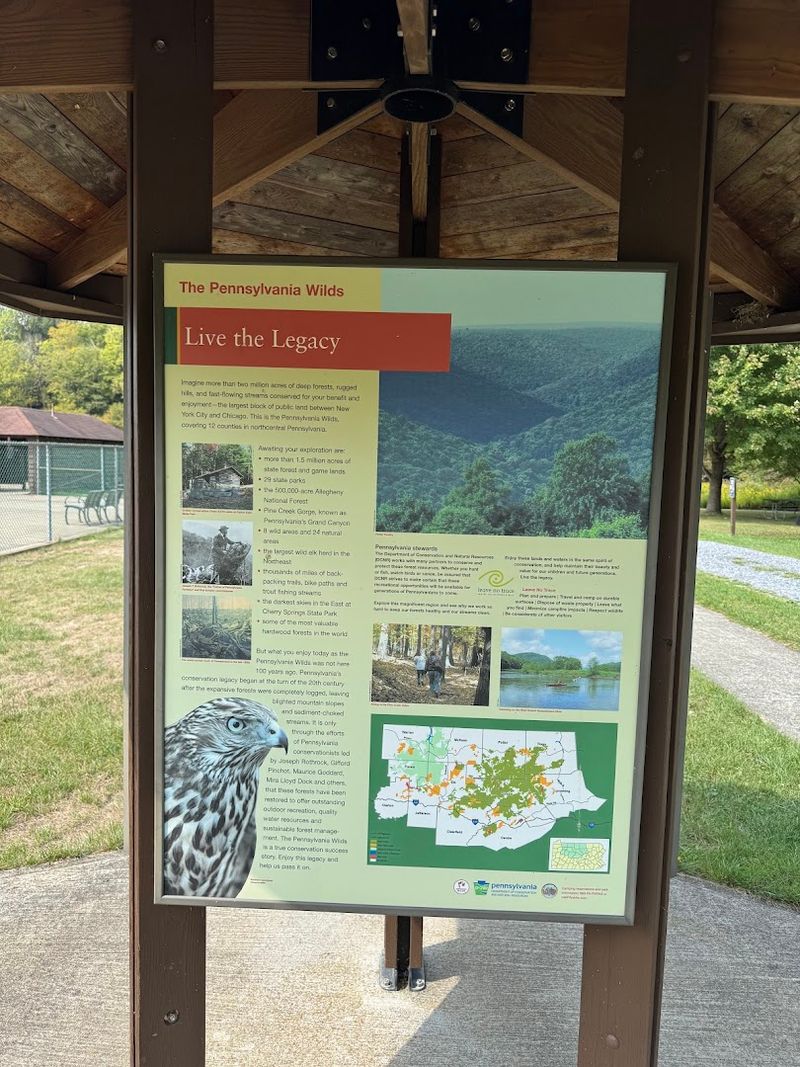 Joining Educational Programs: Hands-On Learning Outdoors