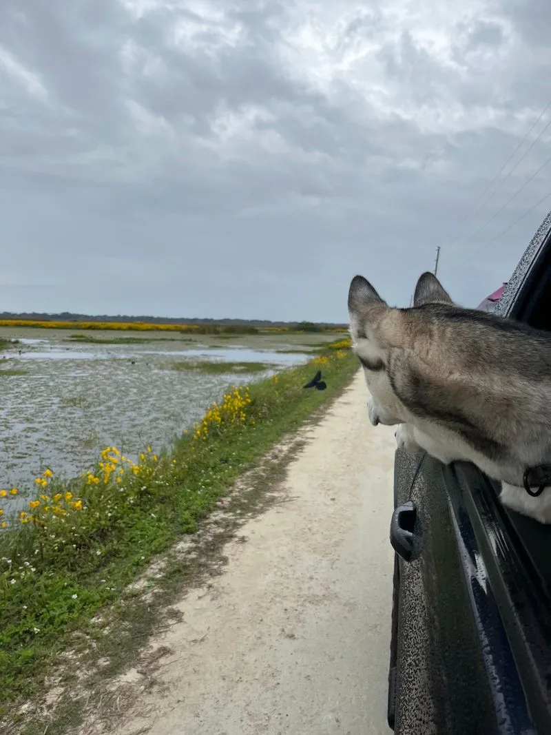 Safety first, keep your distance