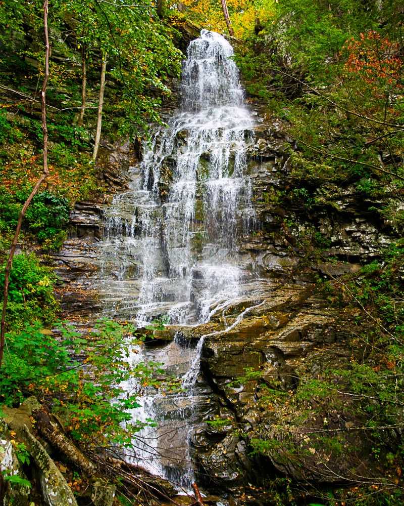 Angel Falls
