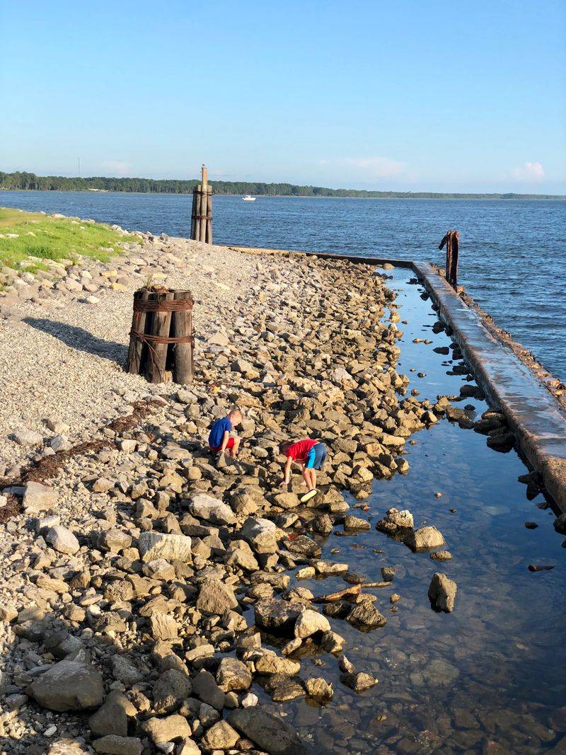 Cape San Blas and Indian Pass: wild edge of the peninsula