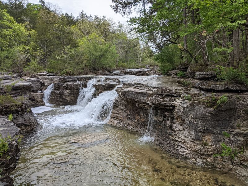 Hercules Glades Wilderness Camp Sites &mdash; Ridgedale, MO