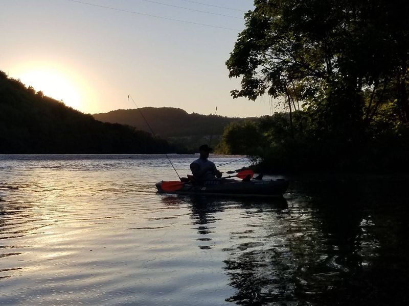 The Call of the Wild