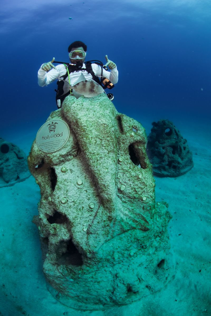 Best conditions, seasons, and safety tips