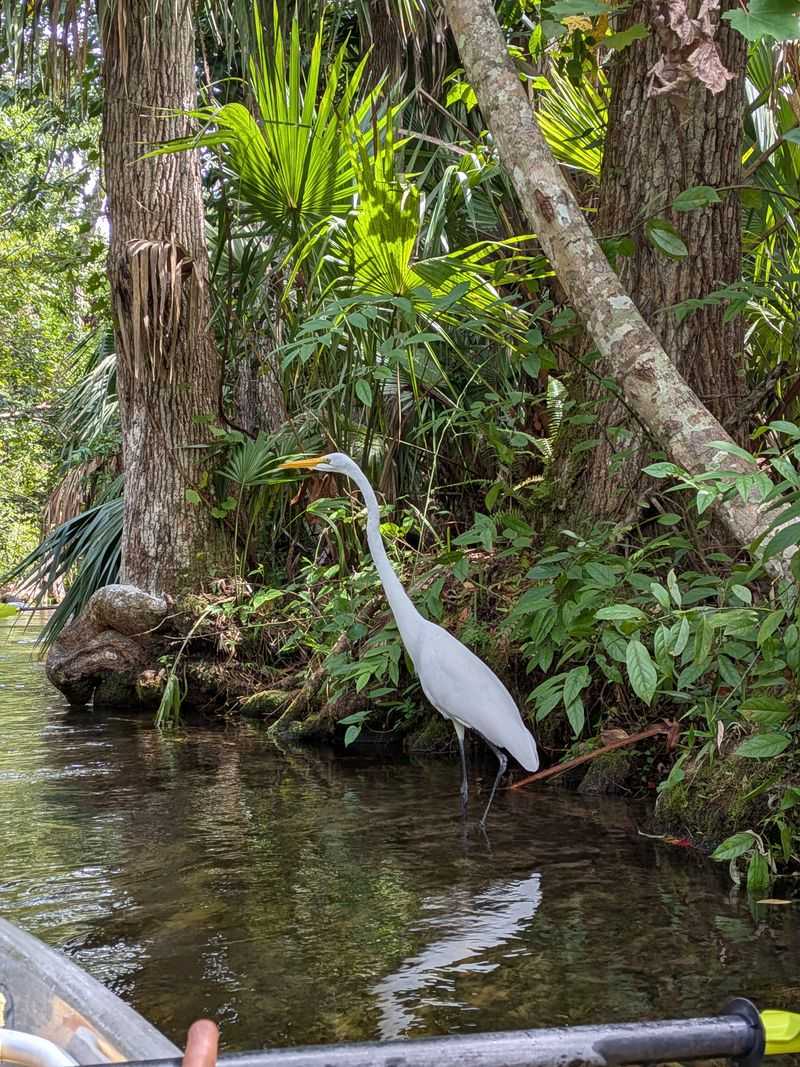 Family-friendly Adventure