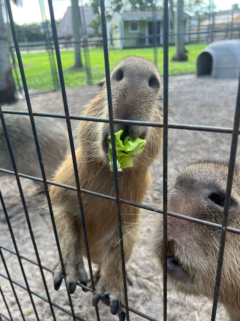 Behind-the-Scenes Tours