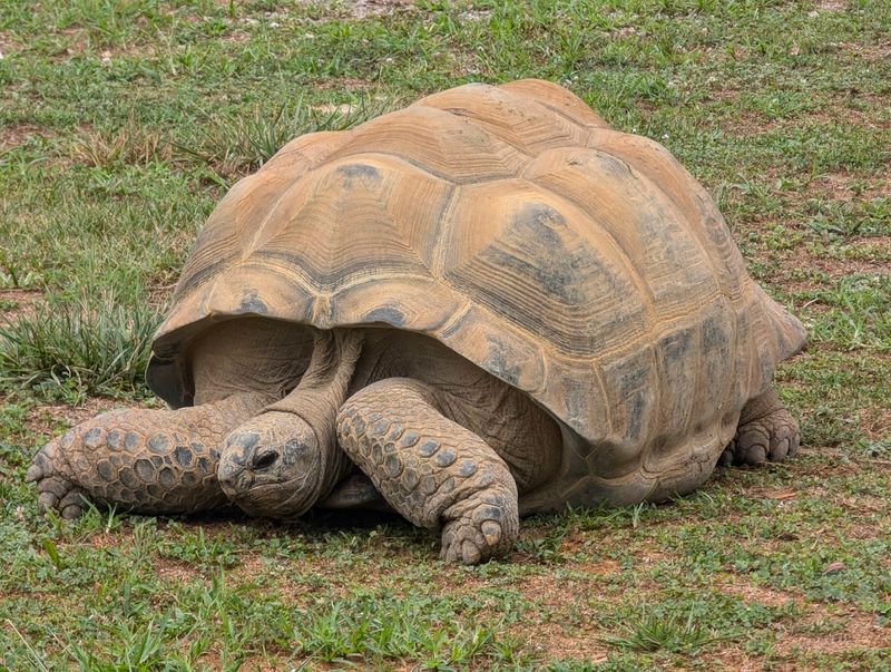 Memorable Experiences