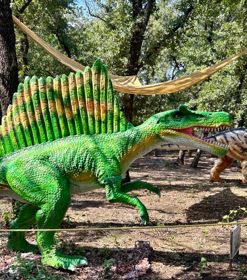 Community and Family Focus