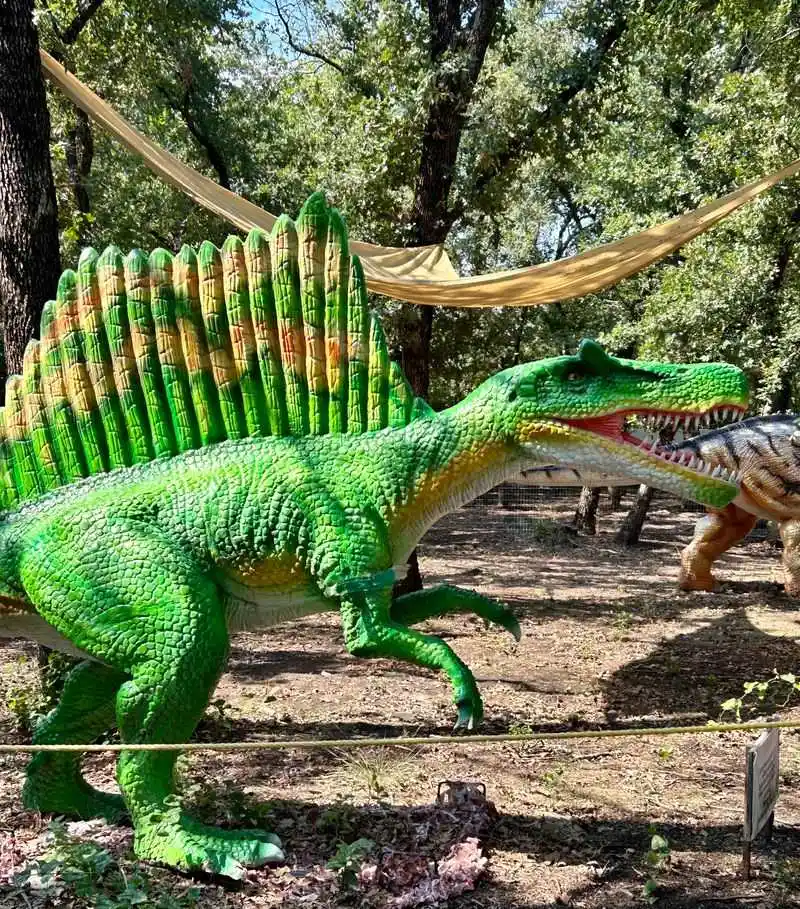 Community and Family Focus