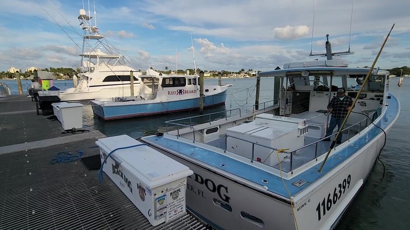 Historical Footprint