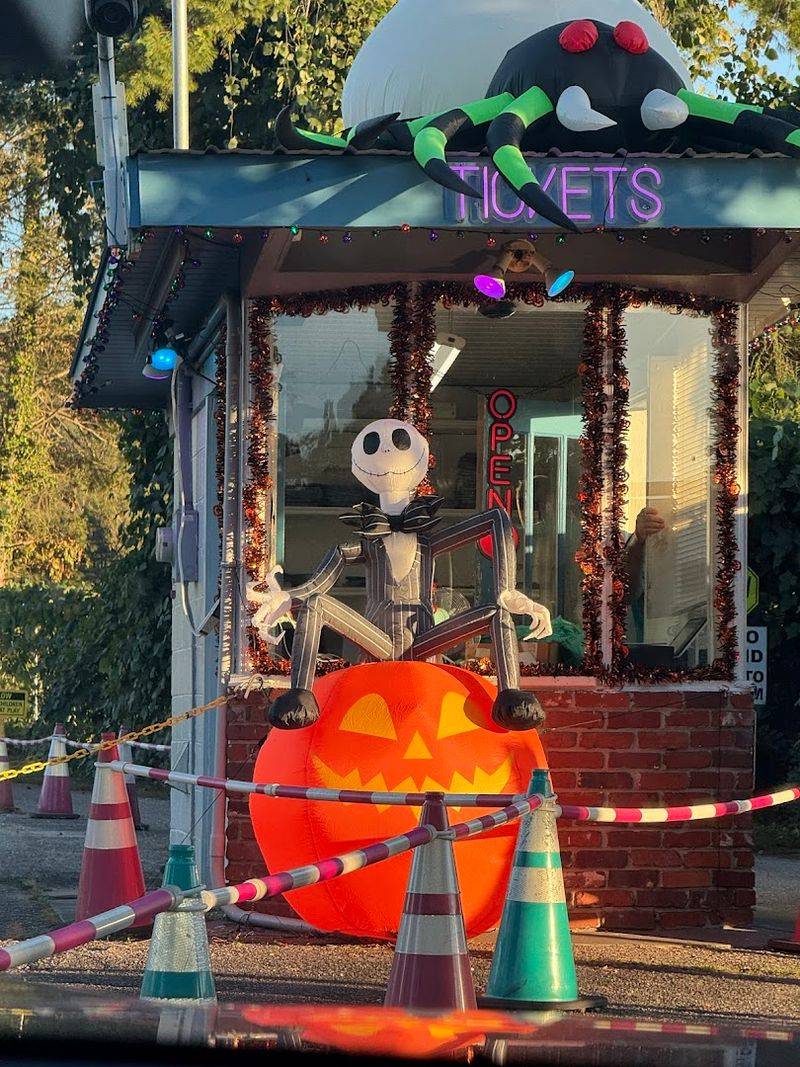 Attending Themed Movie Nights