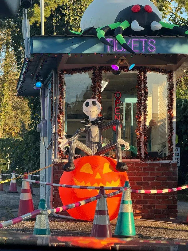 Attending Themed Movie Nights