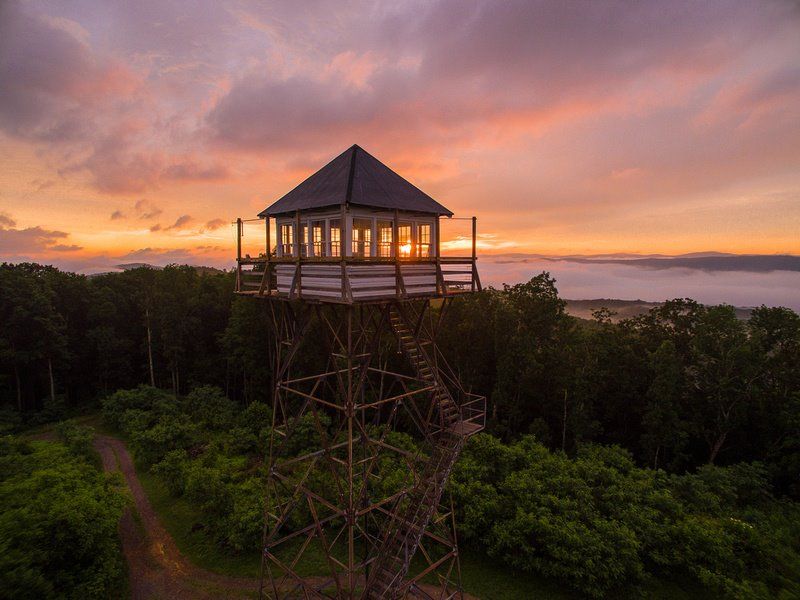 Trail sampler: Thorny Creek to Fire Tower linkup