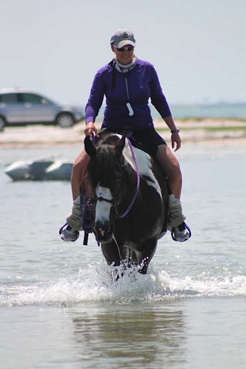 Practical Logistics: Parking, Timing, Payment