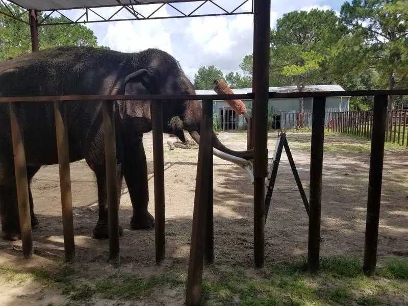 Best time to visit and weather tips