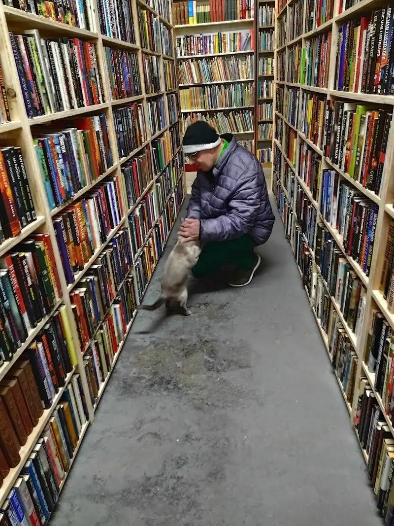 Planning Your Perfect Visit: A Simple Itinerary