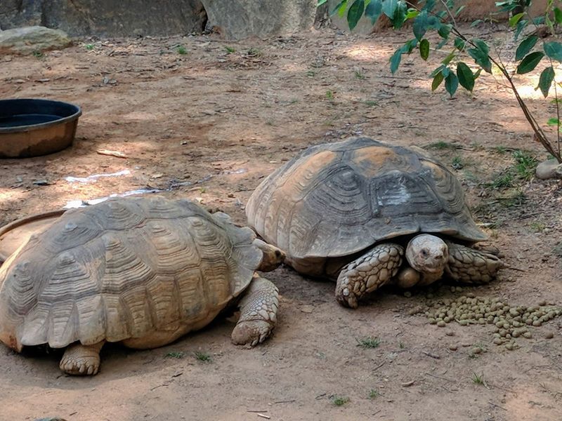 Educational Experiences at the Ranch