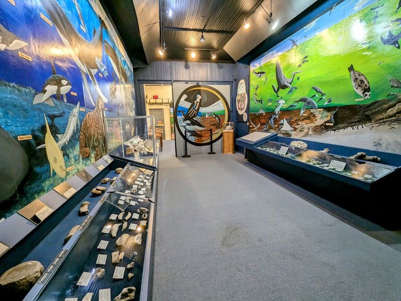 Go Fossil Hunting at the Aurora Fossil Museum (Aurora)
