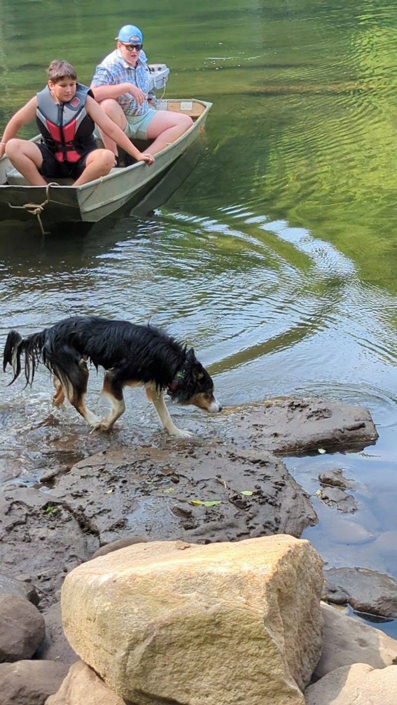 Float Down the River on a Tubing Adventure