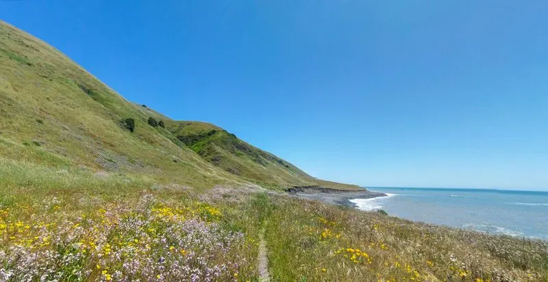 Wildlife Spotting Near Spanish Flat