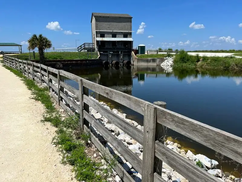 Best time of day and season