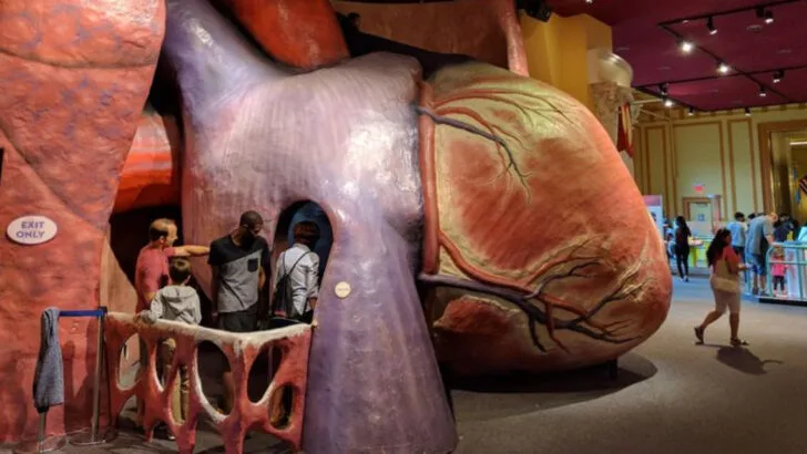 Families Across Pennsylvania Keep Coming Back To This Hands-On Science Museum