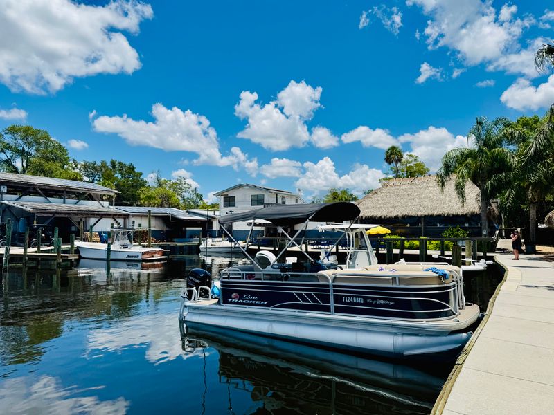 From dock to plate: sourcing, freshness, and sustainability hints