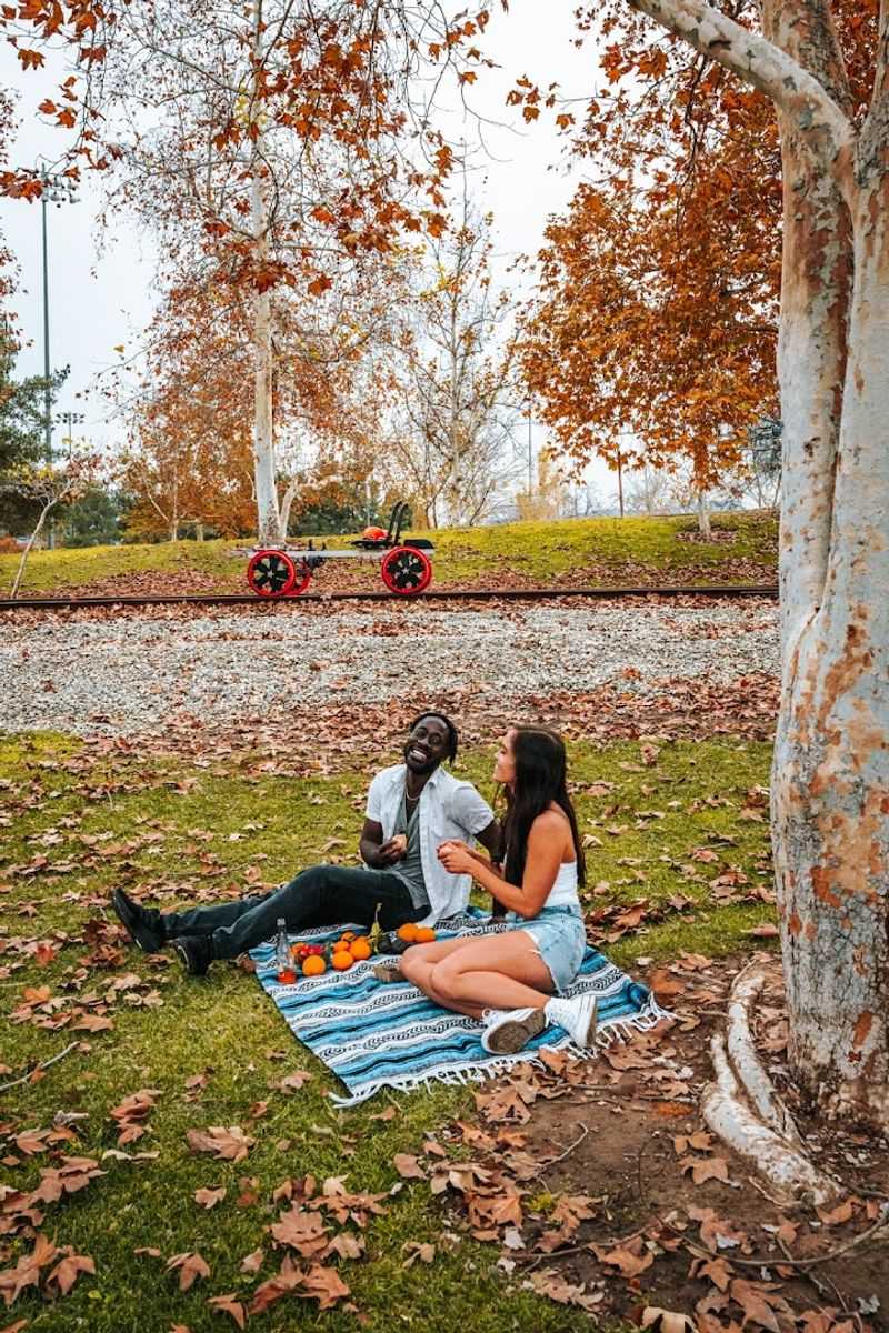 Picnic Possibilities