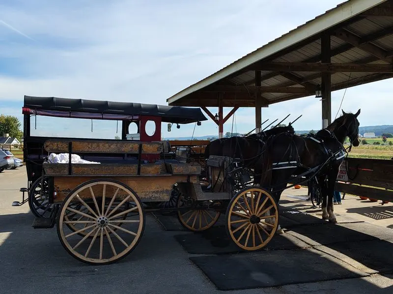 All Aboard: Buggy Rides and Strasburg Rail Road Proximity