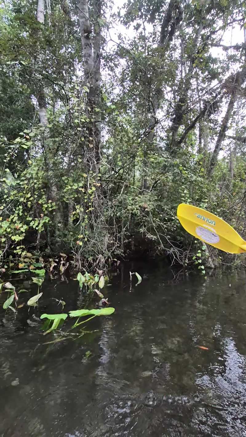 Relaxation and Escapism