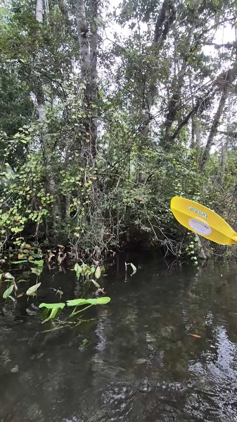 Relaxation and Escapism