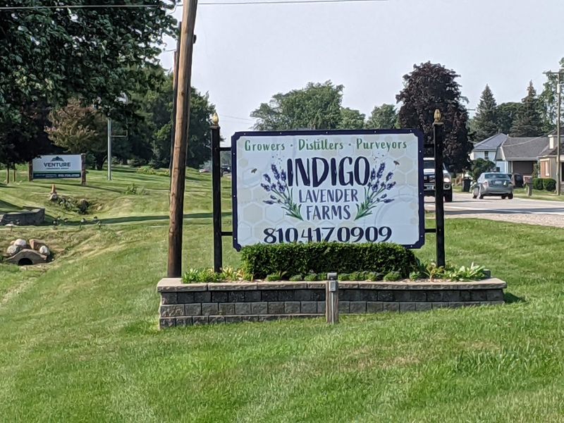 Need-to-know logistics: contact, policies, and weather backups