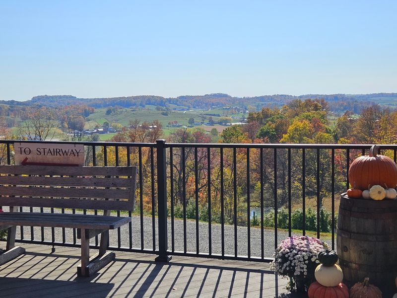 Stunning Seasonal Views