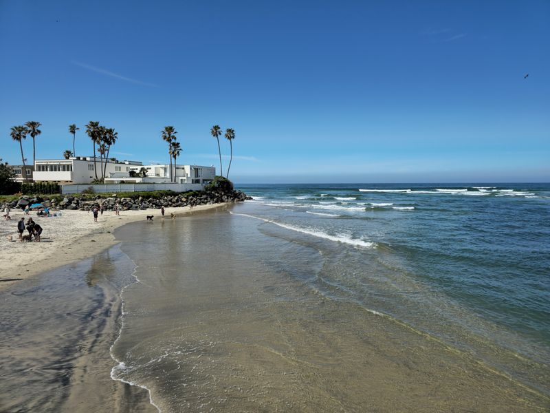 Del Mar Dog Beach &mdash; Del Mar, CA