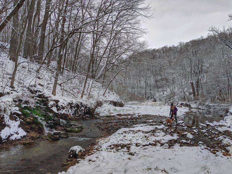 The Scenic Overlook Experience