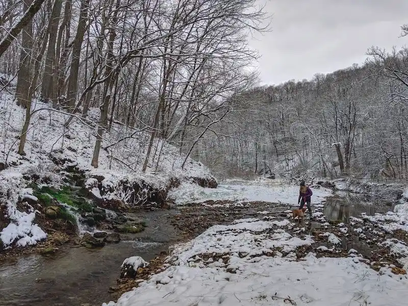 The Scenic Overlook Experience