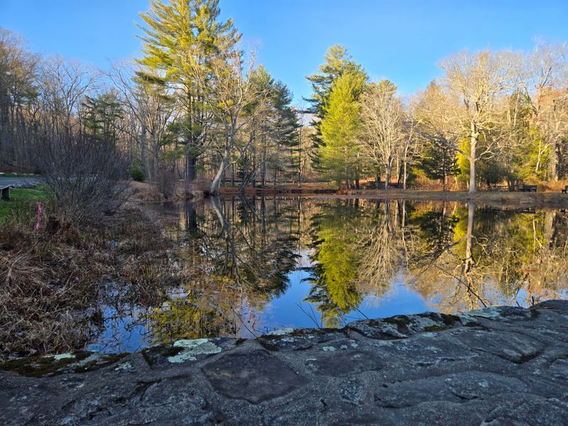 Picnic Spots