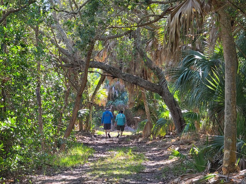 Mangrove Trails and Backcountry Edges
