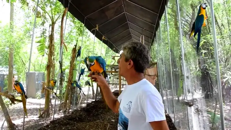 A Community of Volunteers