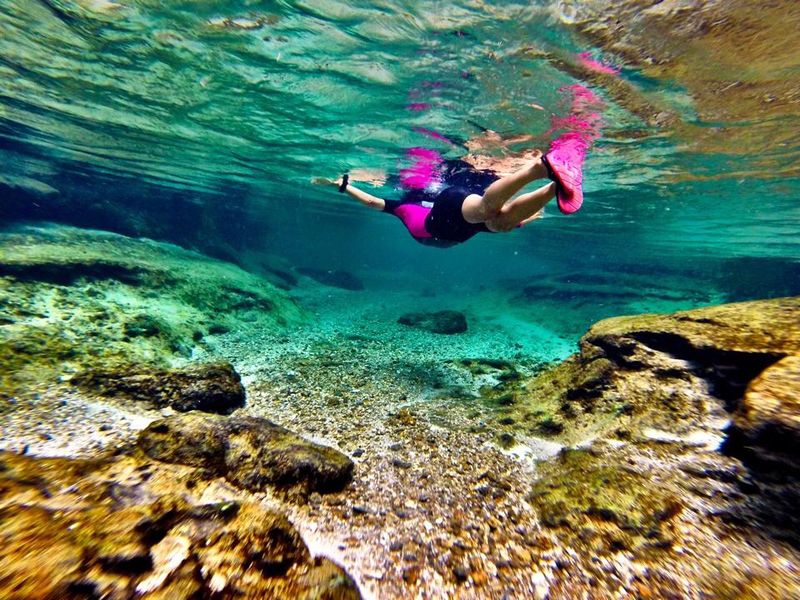 Snorkeling the Clear Blue