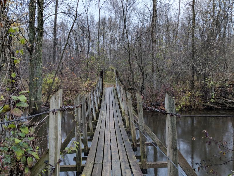 Visitor Tips and Local Insights