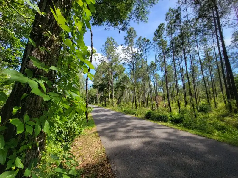 A Journey Through Time and Landscape