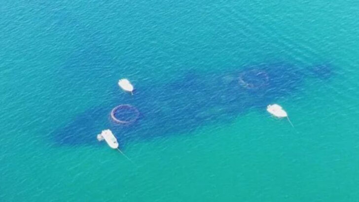 Florida&rsquo;s long history of lost treasures, shipwrecks, and forgotten fortunes