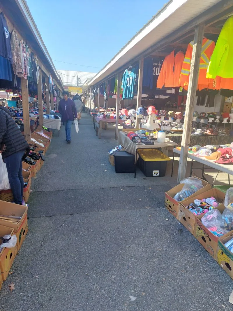 Crowd Character And Who Visits