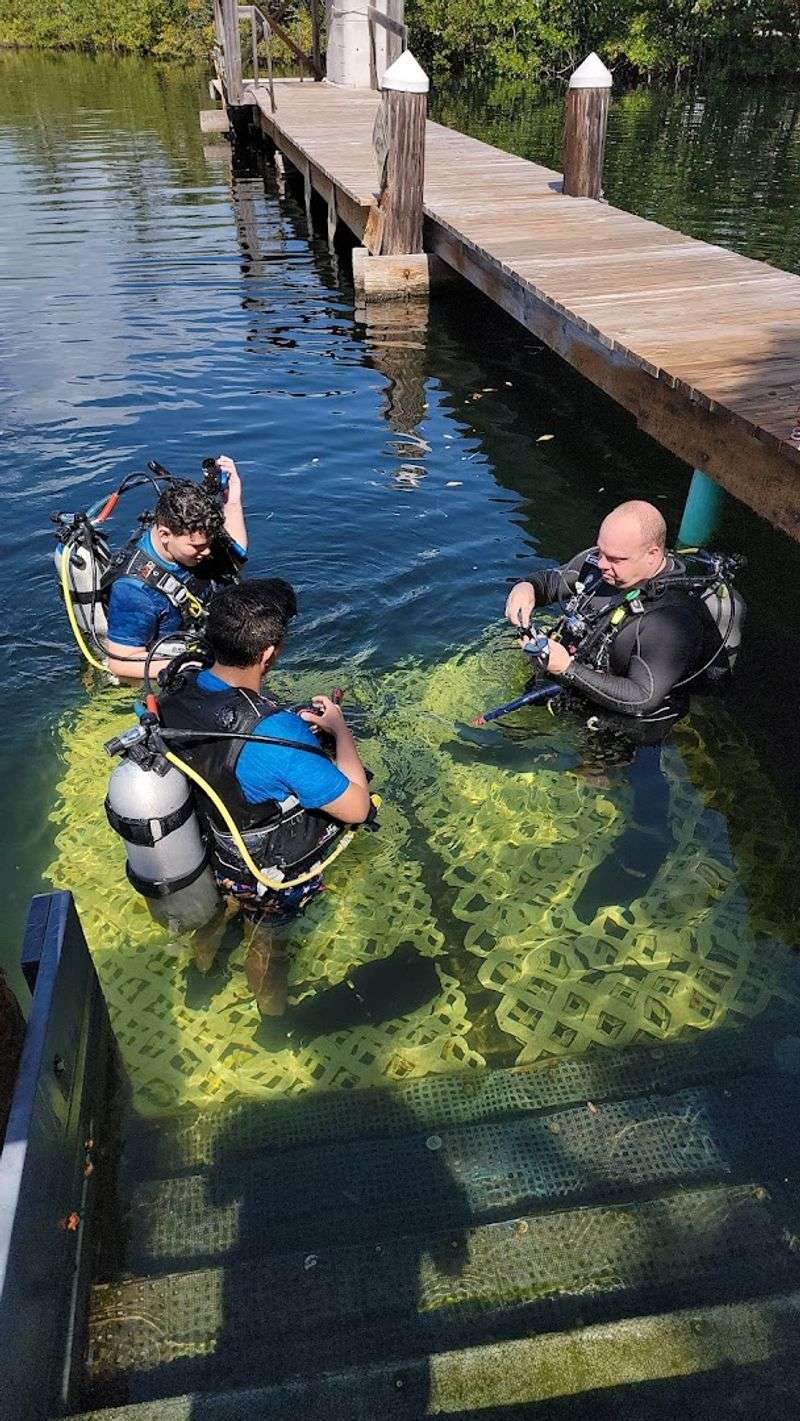 Safety, Comfort, And Accessibility