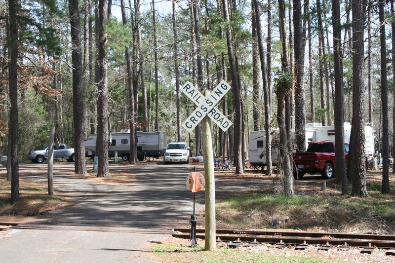 Wildlife, Flora, and Pineywoods Ecology