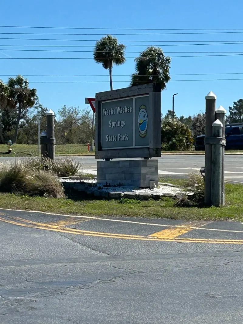 Accessibility, families, and first timers