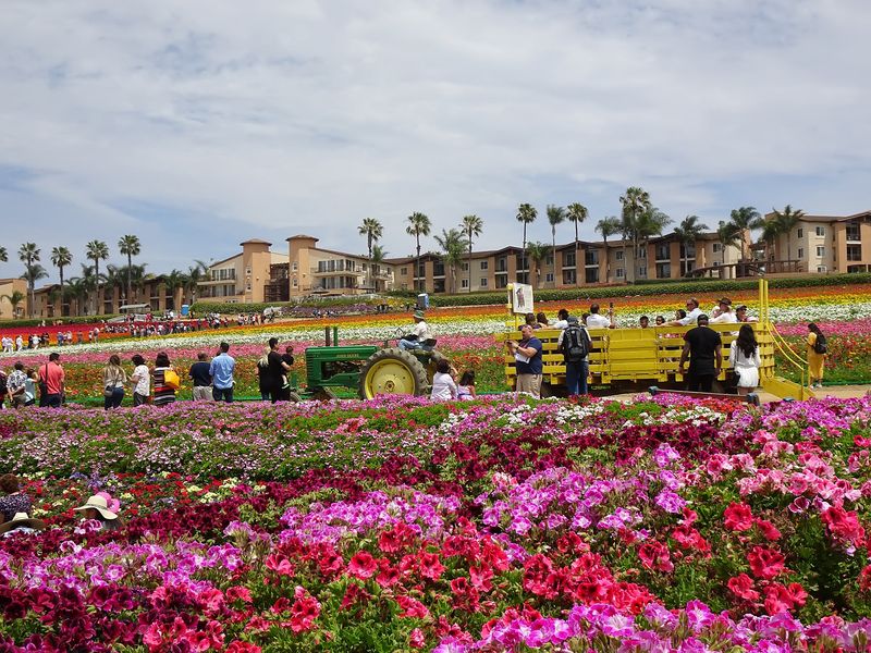 Accessibility, comfort, and crowd strategy