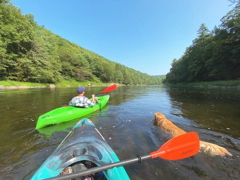 Clarion River: Kayaking, Canoeing, and Tubing